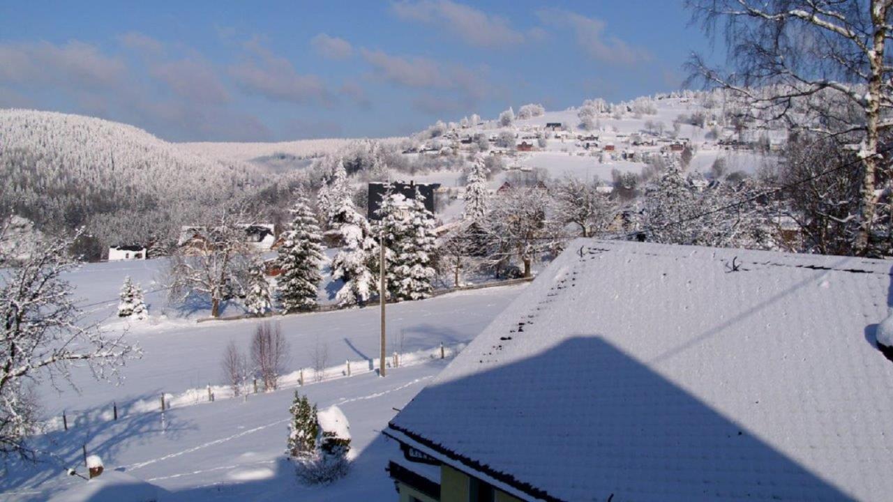 Ferienwohnung Riedl Klingenthal Luaran gambar