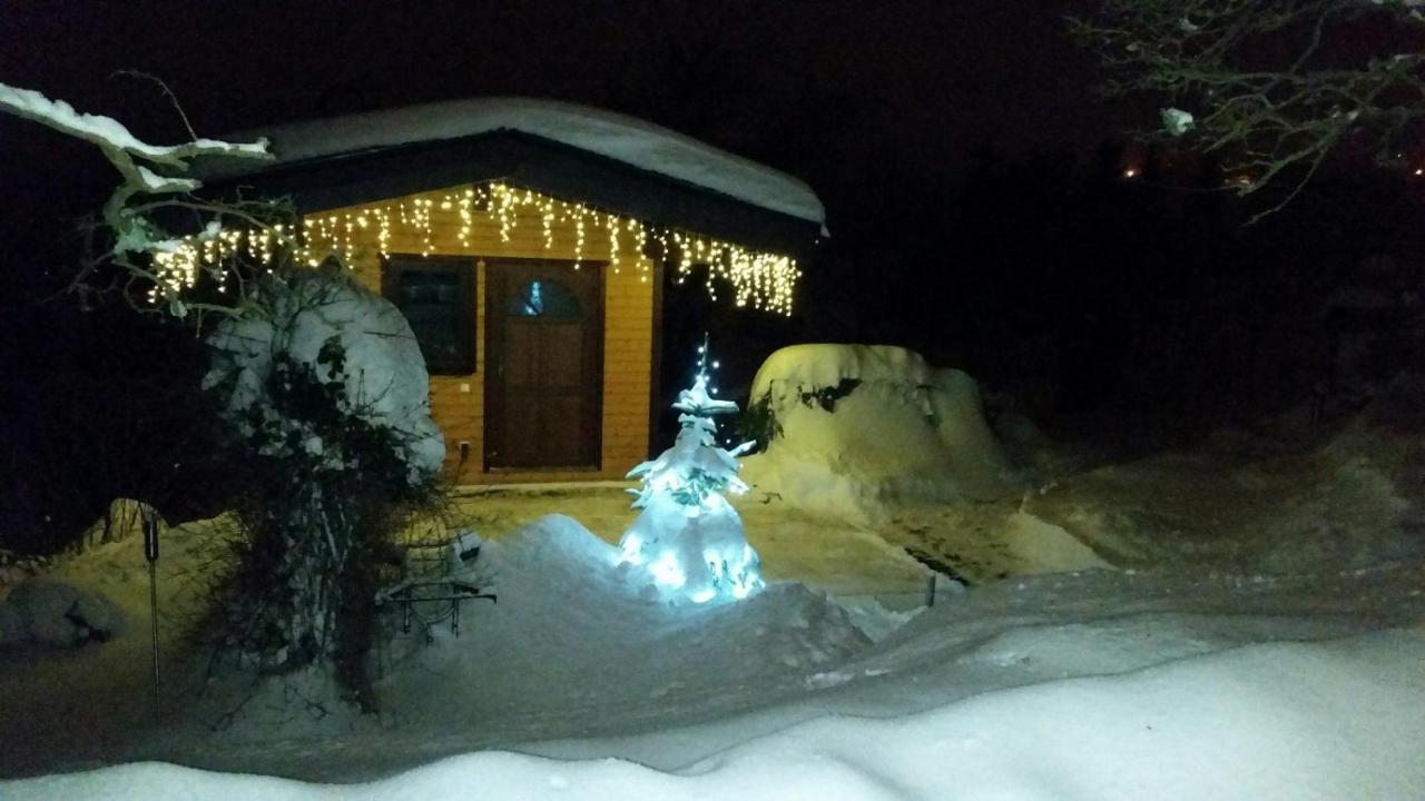 Ferienwohnung Riedl Klingenthal Luaran gambar