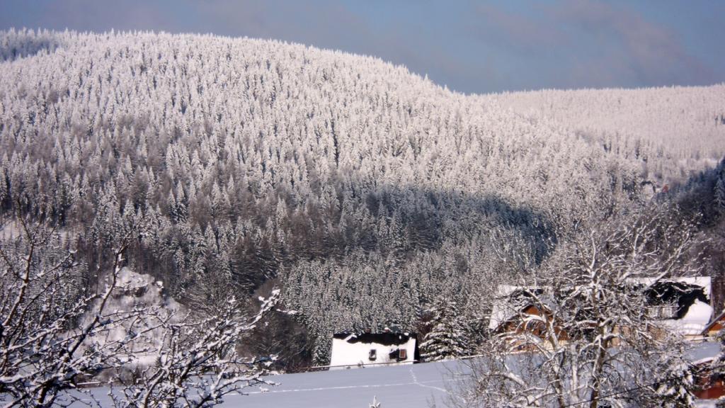 Ferienwohnung Riedl Klingenthal Bilik gambar